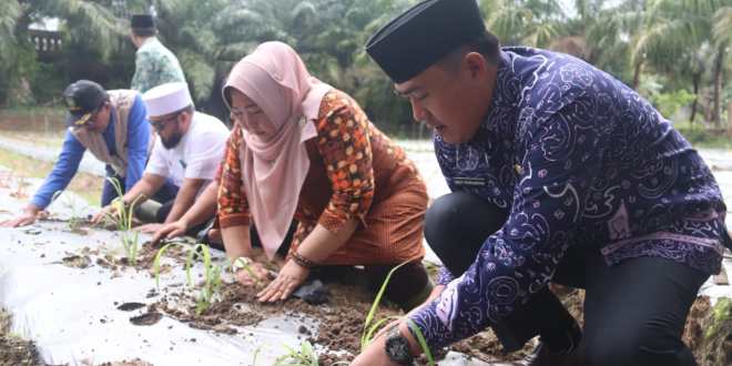 Pemkot Uji Nanam Serai