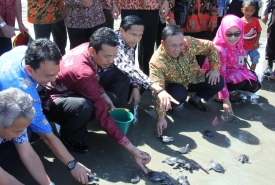 Tasyakuran hasil laut